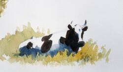 Cow sketch