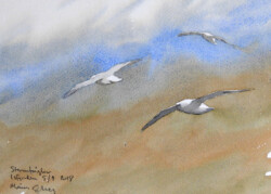 Fulmars are seen from the boat at all times. Isfjorden, Svalbard 2018. © The IK Workshop Society at www.ikfoundation.org. Fulmars