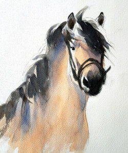 Fjord horse