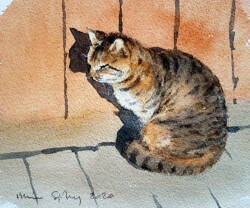 Basking cat