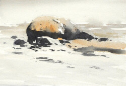 Boulder sketch